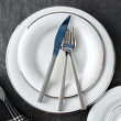 zestaw talerzy porcelanowy z platyną na obrzeżach