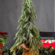 Choinka ośnieżona 70 cm w doniczce 2