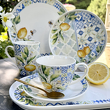 Kolekcja ręcznie szkliwionej porcelany do jadalni LIMONETTI