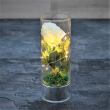 Lampion LED 25 cm IRIS róża 3