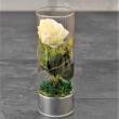 Lampion LED 25 cm IRIS róża 2