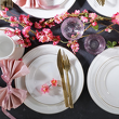 elegancka porcelana stołowa – komplet obiadowy 