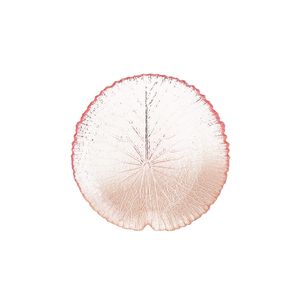 Talerzyk deserowy szklany 17 cm AMOROSA