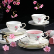 Filiżanka do herbaty porcelanowa 200 ml ze spodkiem SPIRIT of JAPAN 10