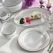 zastawa porcelanowa z platynową obwódką