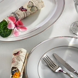 zastawa porcelanowa zdobiona platynowymi paskami