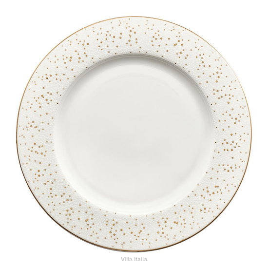 elegancki talerz płytki porcelanowy 27 cm na stół