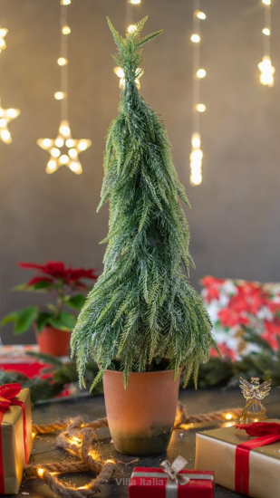 Choinka ośnieżona 70 cm w doniczce