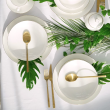 Serwis obiadowy porcelanowy na 6 osób BOSTON Gold 6
