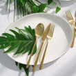 Serwis obiadowy porcelanowy na 6 osób BOSTON Gold 9