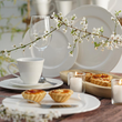 Serwis obiadowo kawowy na 6 osób porcelanowy LOZANO 1