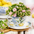 Filiżanka ze spodkiem porcelanowa 240 ml LIMONETTI 12