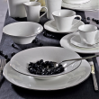 Serwis obiadowy porcelanowy na 12 osób z wazą BIANCA  18