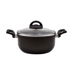Garnek z pokrywką 20 cm PRATICA PLUS