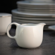 Mlecznik porcelanowy PLUS PLATIN 2