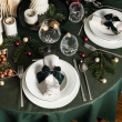 Serwis obiadowy porcelanowy na 6 osób BARI PLATIN 17