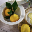 Serwis obiadowo kawowy na 12 osób porcelanowy RIANON 10