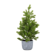 Choinka 50 cm w doniczce 4