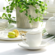 Filiżanka do espresso porcelanowa 100 ml ze spodkiem BOSTON Gold 3