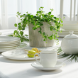 Filiżanka do espresso porcelanowa 100 ml ze spodkiem BOSTON Gold 4