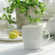 Komplet kubków porcelanowych 350 ml 6 sztuk BOSTON GOLD 1