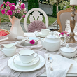 elegancka zastawa stołowa z białej porcelany kostnej ręcznie zdobiona linią platynową