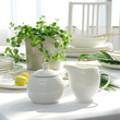 Mlecznik porcelanowy BOSTON gold 2