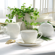 Mlecznik porcelanowy BOSTON gold 4
