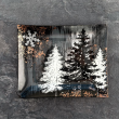 Półmisek prostokątny szklany Talerz do ciasta 32 x 21 cm FROST 6