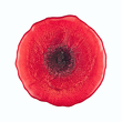 Talerzyk deserowy szklany 21 cm czerwony MAK 8