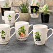Zestaw 4 kubków porcelanowych BOTANIC w pudełku prezentowym 6