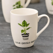 Zestaw 4 kubków porcelanowych BOTANIC w pudełku prezentowym 4