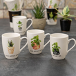 Zestaw 4 kubków porcelanowych BOTANIC w pudełku prezentowym 4