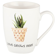 Zestaw 4 kubków porcelanowych BOTANIC w pudełku prezentowym 7