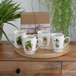 Zestaw 4 kubków porcelanowych BOTANIC w pudełku prezentowym 1